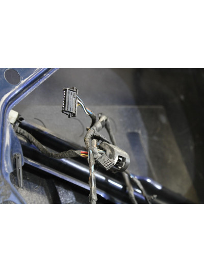 Puerta trasera derecha BMW 5 530 d 2004