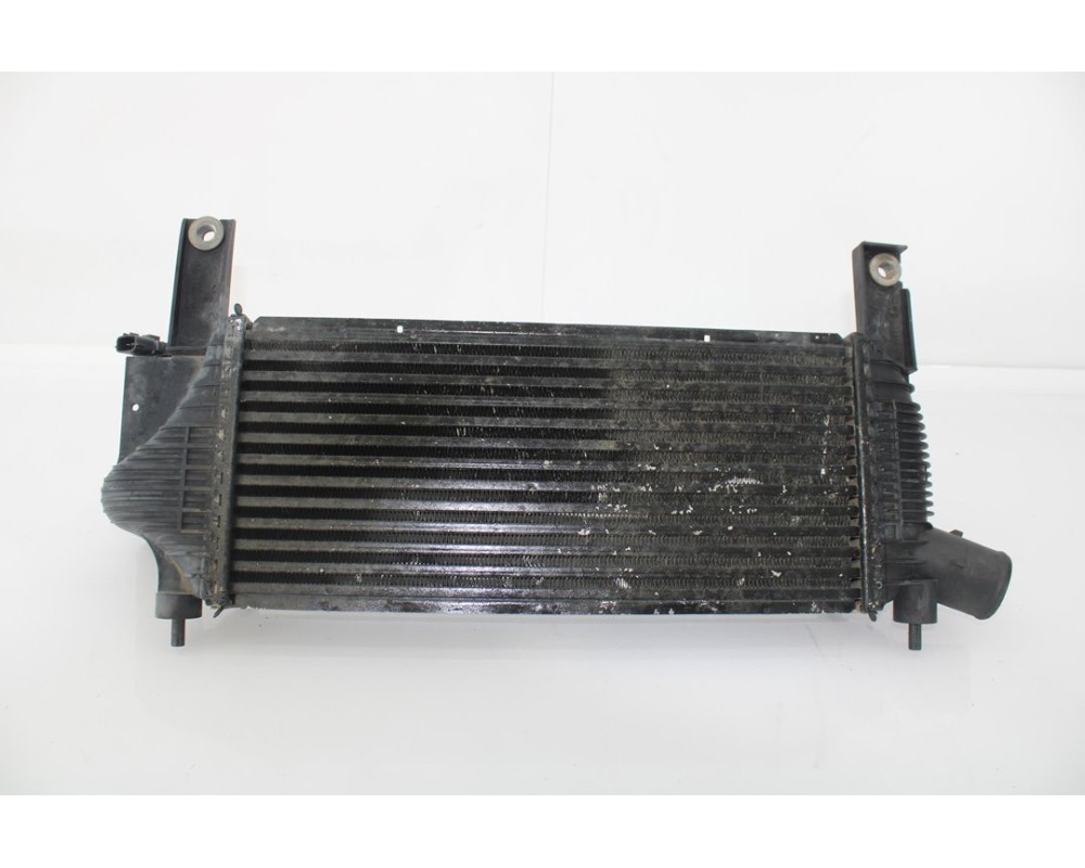 Recambio de intercooler para nissan navara pick-up (d40m) doble cab se 4x2 referencia OEM IAM 14461EB360  