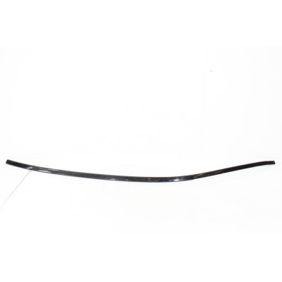 MOLDURA TECHO BMW 5 (F10) 518 D