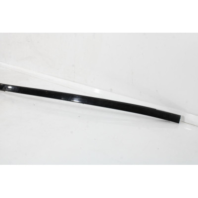MOLDURA TECHO BMW 5 (F10) 518 D