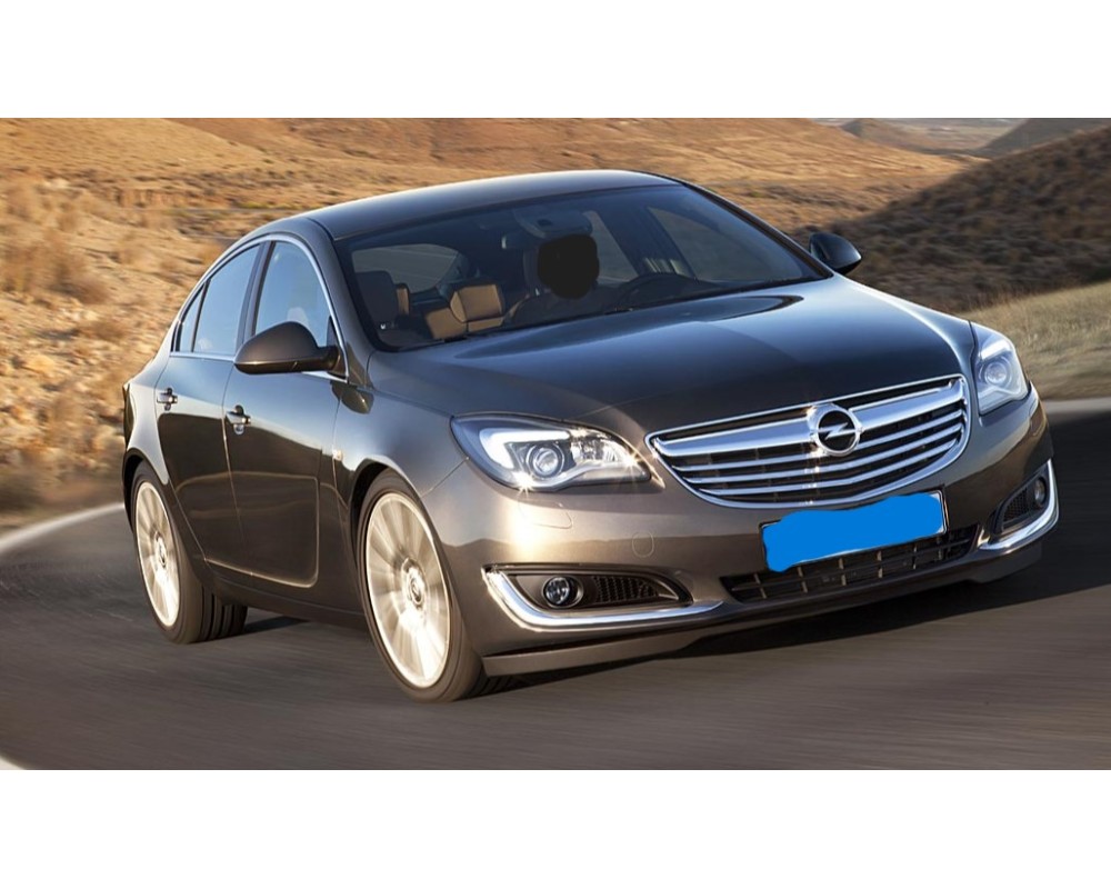 opel insignia berlina del año 2013