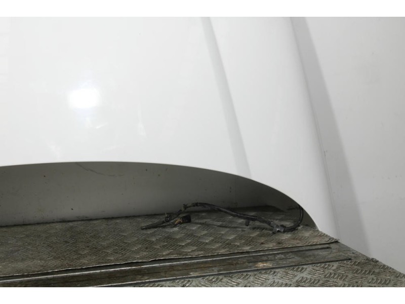 Recambio de capot para land rover range rover evoque (l538) 2.2 d referencia OEM IAM   