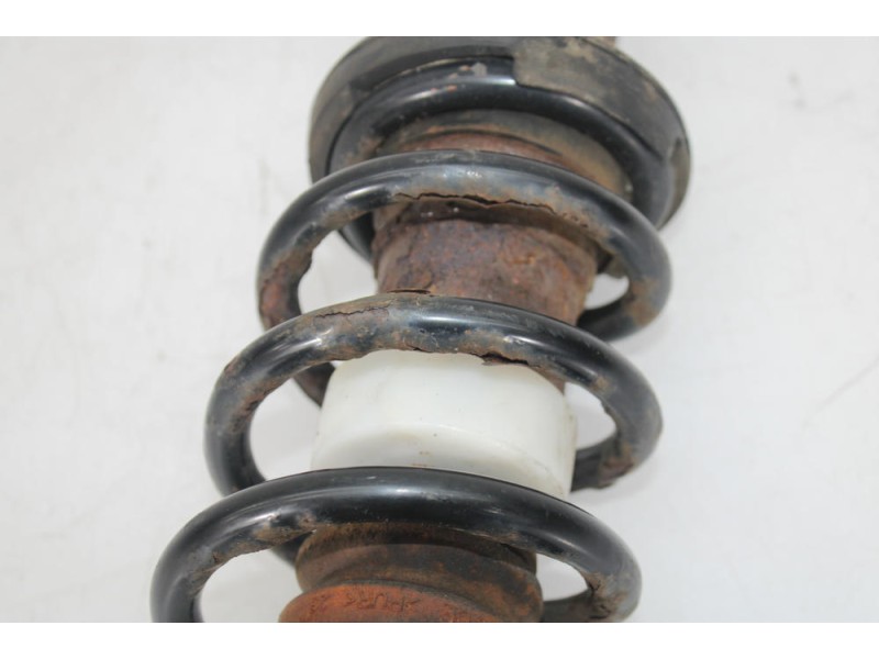 Recambio de amortiguador trasero izquierdo para bmw 5 (f10) 520 d referencia OEM IAM   