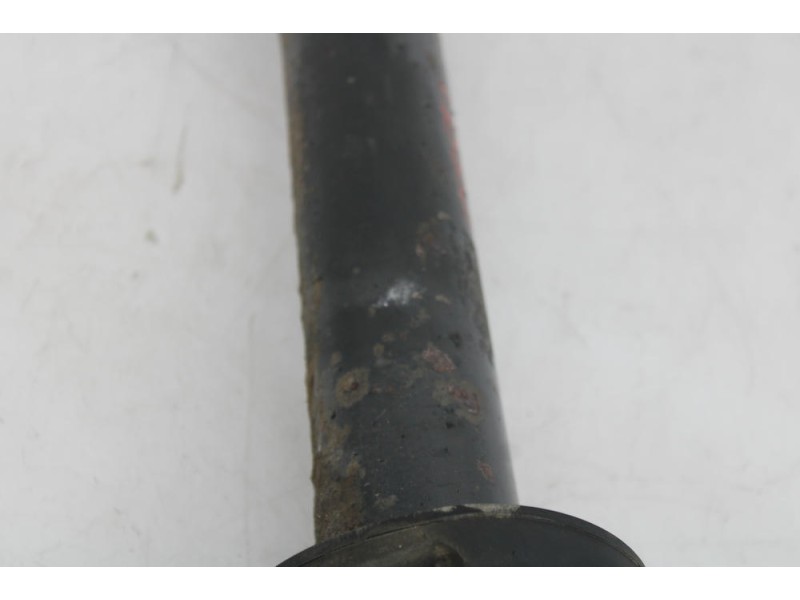 Recambio de amortiguador trasero izquierdo para bmw 5 (f10) 520 d referencia OEM IAM   