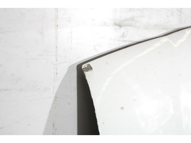 Recambio de capot para nissan terrano ii (r20) 2.7 tdi 4wd referencia OEM IAM   