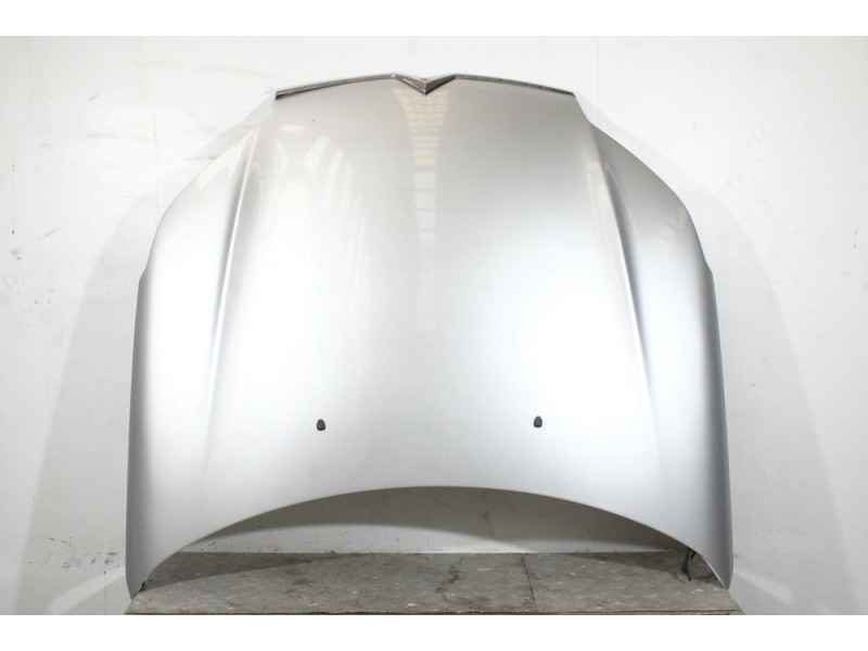 Recambio de capot para citroën c5 iii (rd_) 2.0 hdi 140 referencia OEM IAM 19690100  