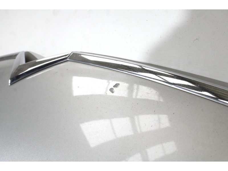 Recambio de capot para citroën c5 iii (rd_) 2.0 hdi 140 referencia OEM IAM 19690100  