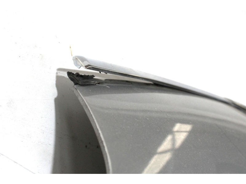 Recambio de capot para citroën c5 iii (rd_) 2.0 hdi 140 referencia OEM IAM 19690100  