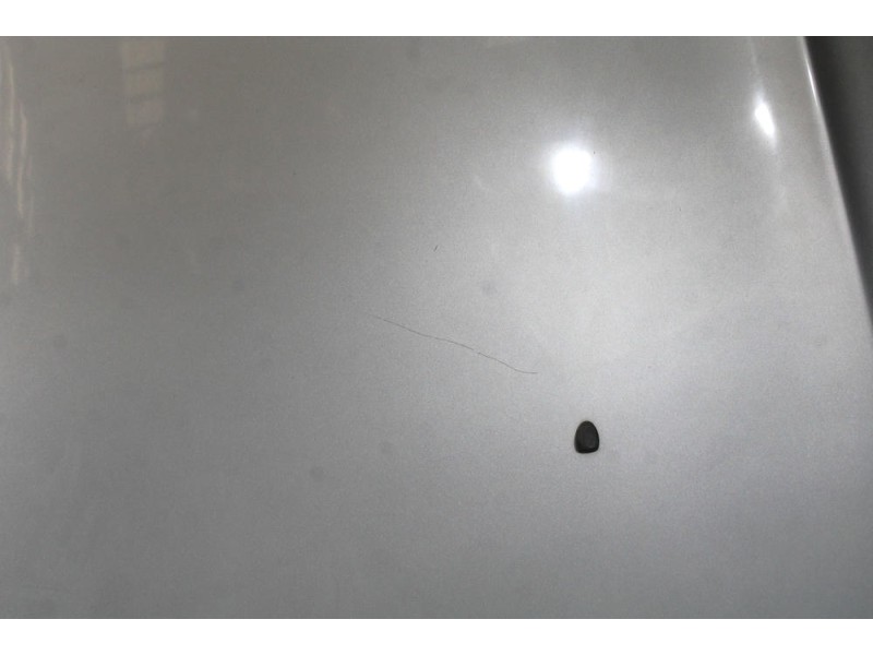 Recambio de capot para citroën c5 iii (rd_) 2.0 hdi 140 referencia OEM IAM 19690100  