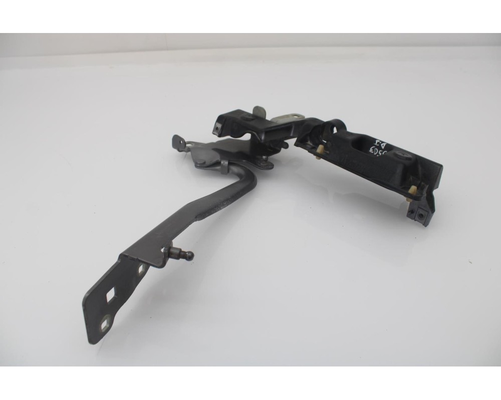 Recambio de bisagra capo izquierda para renault scenic iii dynamique referencia OEM IAM 654010004R  