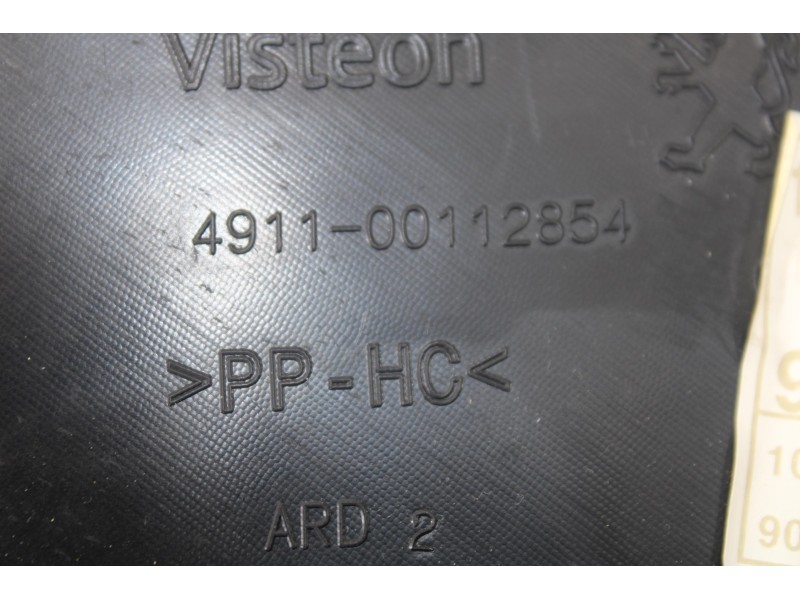 Recambio de guarnecido puerta trasera derecha para peugeot 208 access referencia OEM IAM 491100112854  