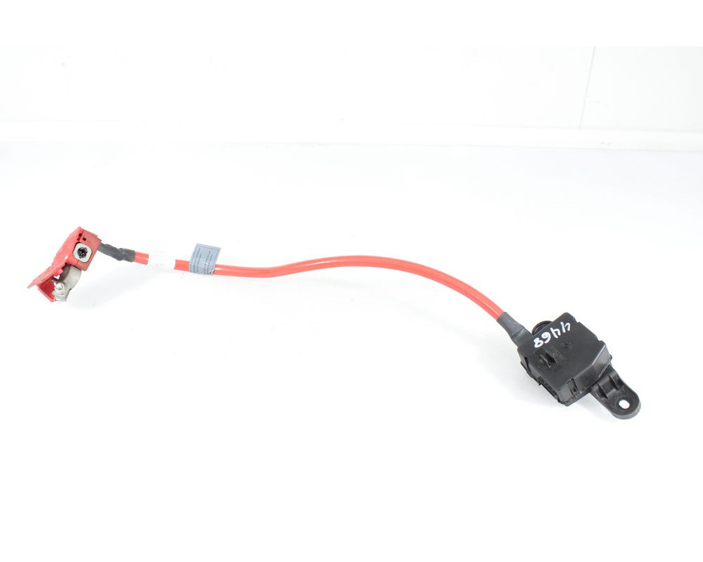 Recambio de cable positivo bateria para bmw x6 (f16) xdrive30d referencia OEM IAM 923001704  